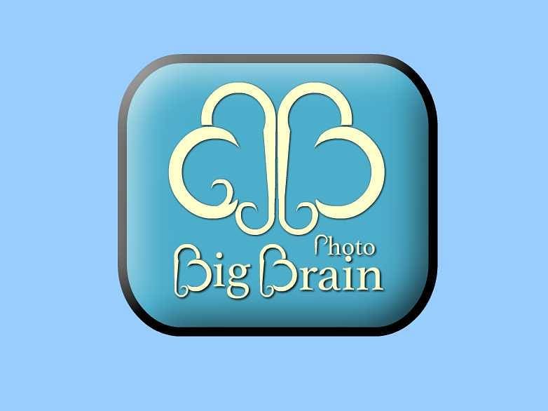 لوگوی شرکت بیگ برین – Big Brain Logo